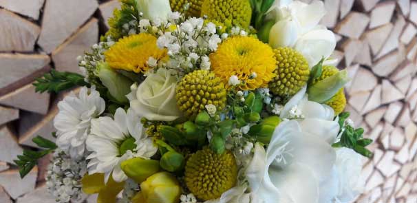 Rosenstube Seewalchen