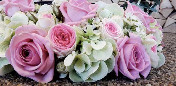 Rosenstube Seewalchen